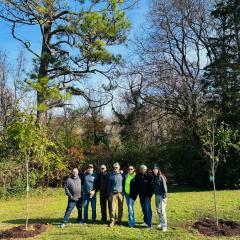 Lightwave-Employees-Volunteering-on-Tree-Day