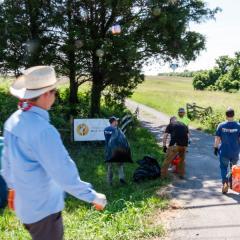 Lightwave-Volunteer-Project-1